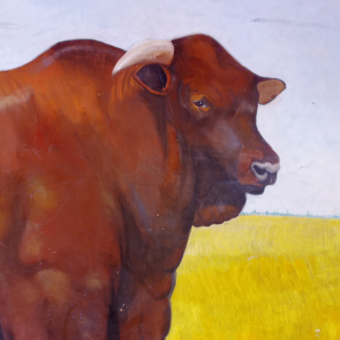 Dettaglio quadro raffigurante un toro di razza Senepol, realizzato su pannello di MDF nel 1991. Il dipinto presenta una dedica con firma dell'autore in basso a destra.